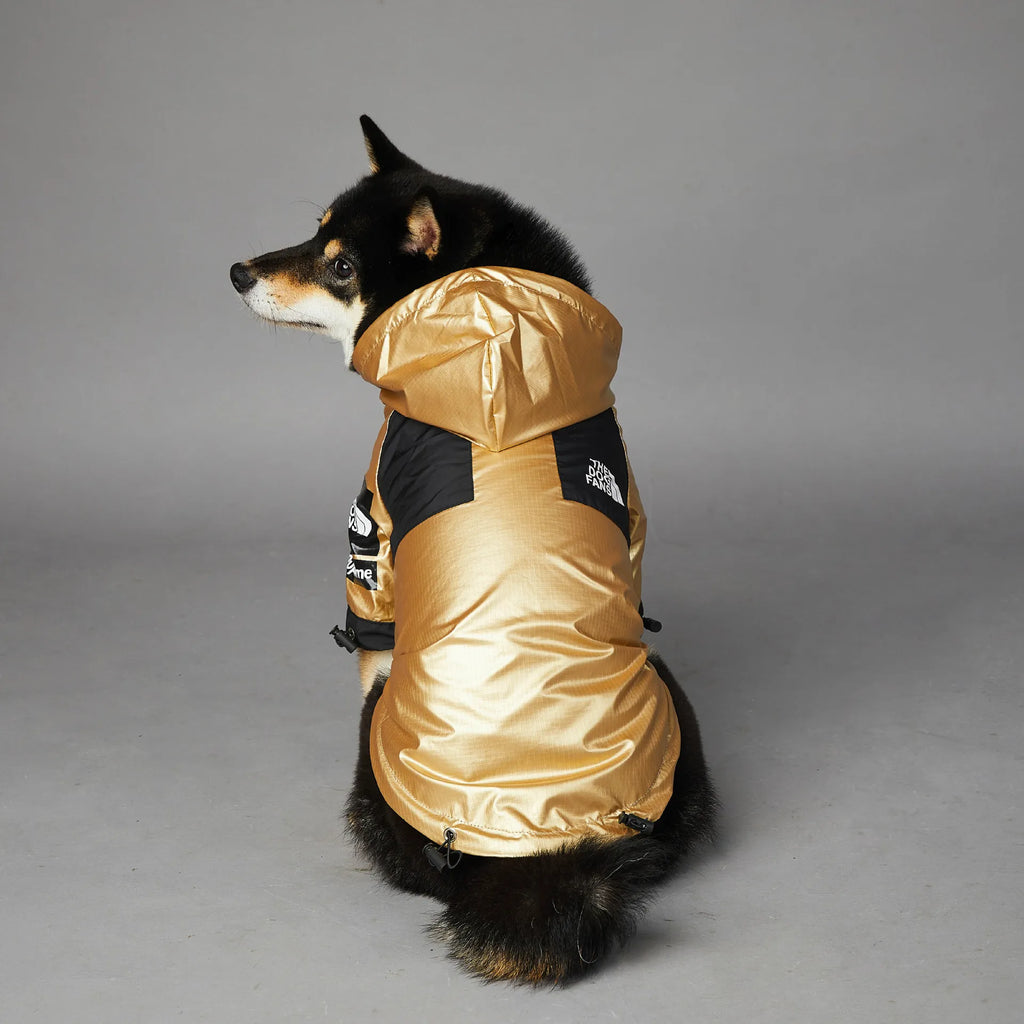 Chubasquero para Perros - Chaqueta Impermeable Talla M