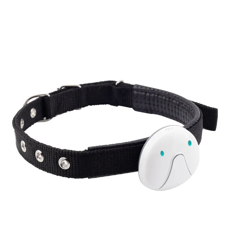 Collar GPS para Perros - Localizador en Tiempo Real Resistente al Agua