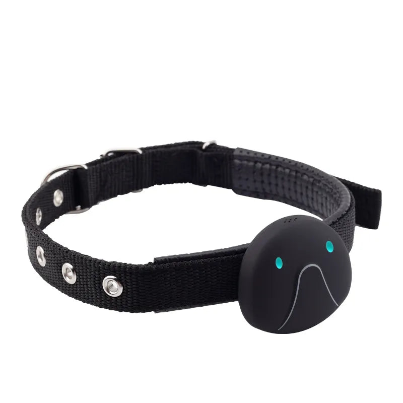 Collar GPS para Perros - Localizador en Tiempo Real Resistente al Agua