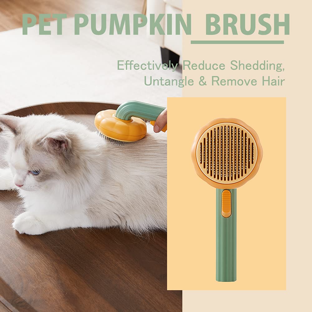 Cepillo Autolimpiable Calabaza para Perros y Gatos – vista 4 | Pawformance
