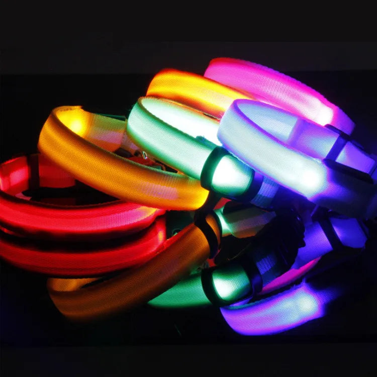 Collar LED para Perros - Seguridad y Visibilidad Nocturna