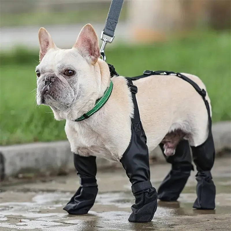 Botas Impermeables para Perros - Set de 4 Talla M