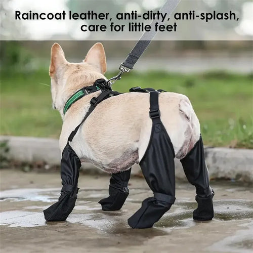 Botas Impermeables para Perros - Set de 4 Talla M