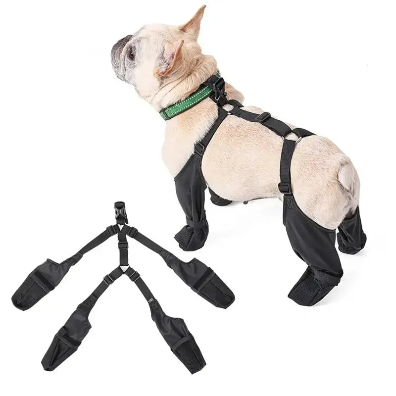 Botas Impermeables para Perros - Set de 4 Talla M
