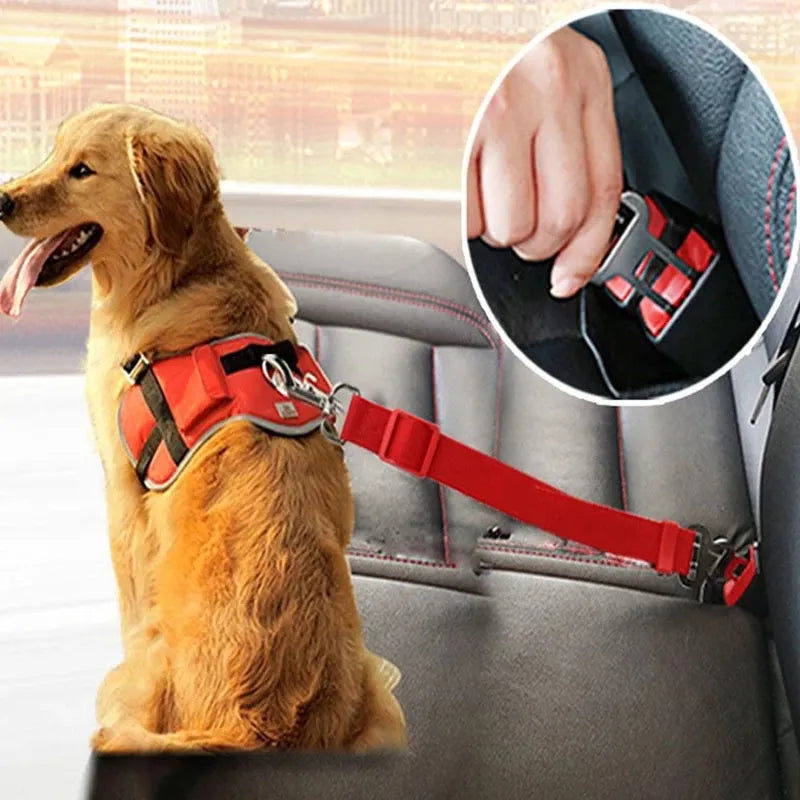 Cinturón de Seguridad para Perros en el Coche - Correa de Sujeción Ajustable