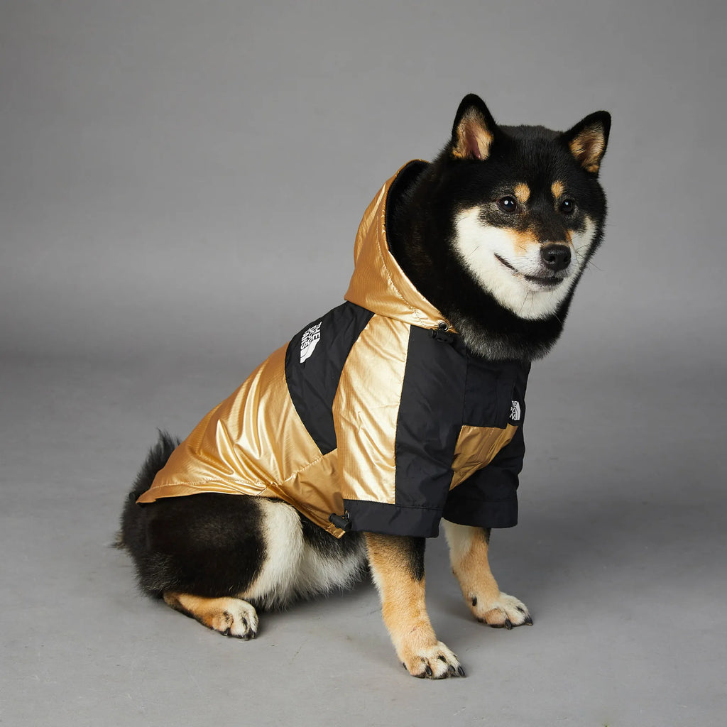 Chubasquero para Perros - Chaqueta Impermeable Talla M