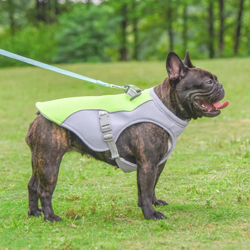 Chaleco Refrescante de Verano para Perros
