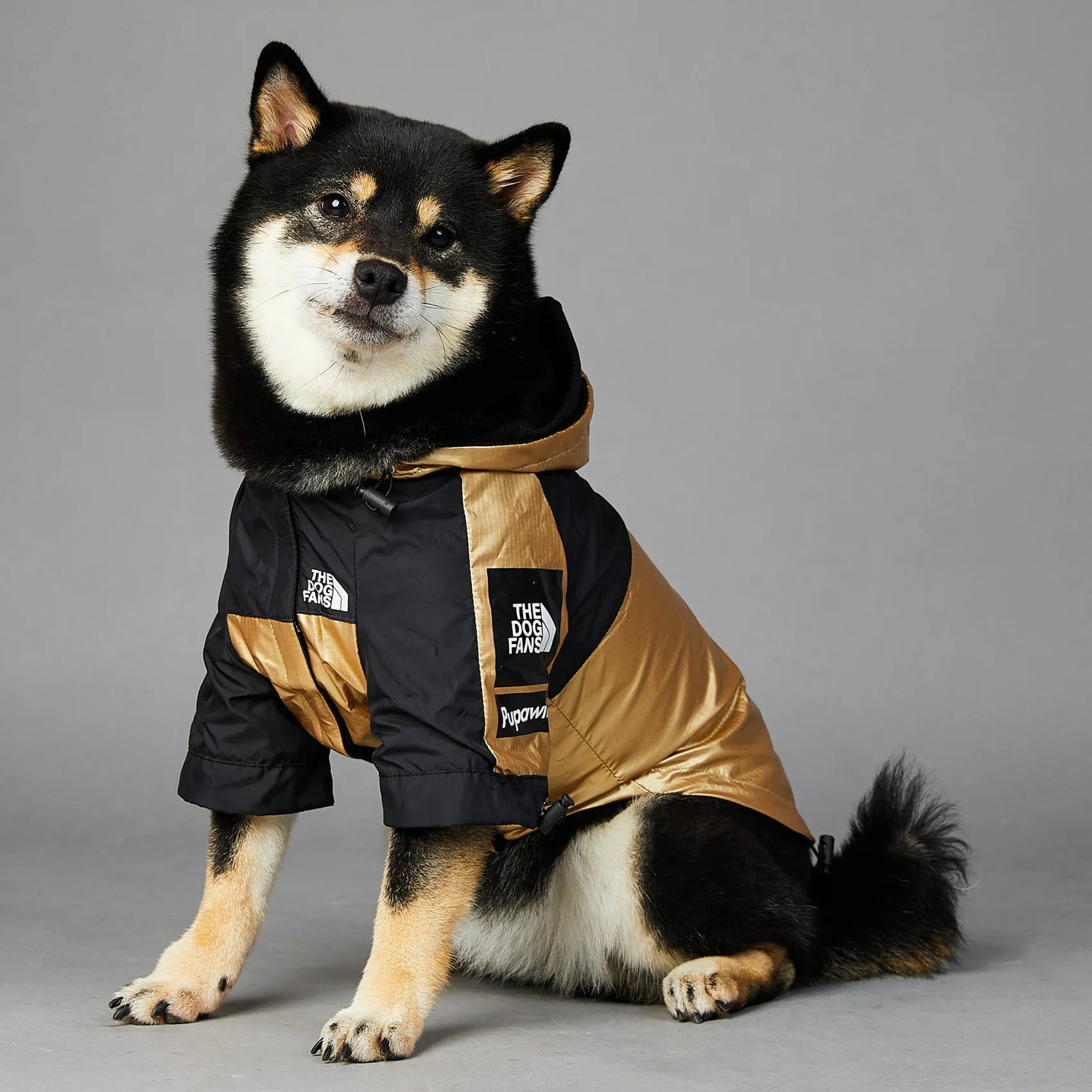 Chubasquero para Perros - Chaqueta Impermeable Talla M