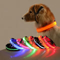 Collar LED para Perros - Seguridad y Visibilidad Nocturna