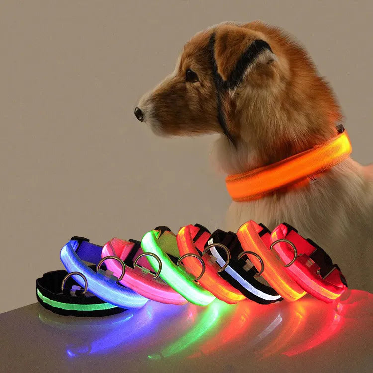 Collar LED para Perros - Seguridad y Visibilidad Nocturna