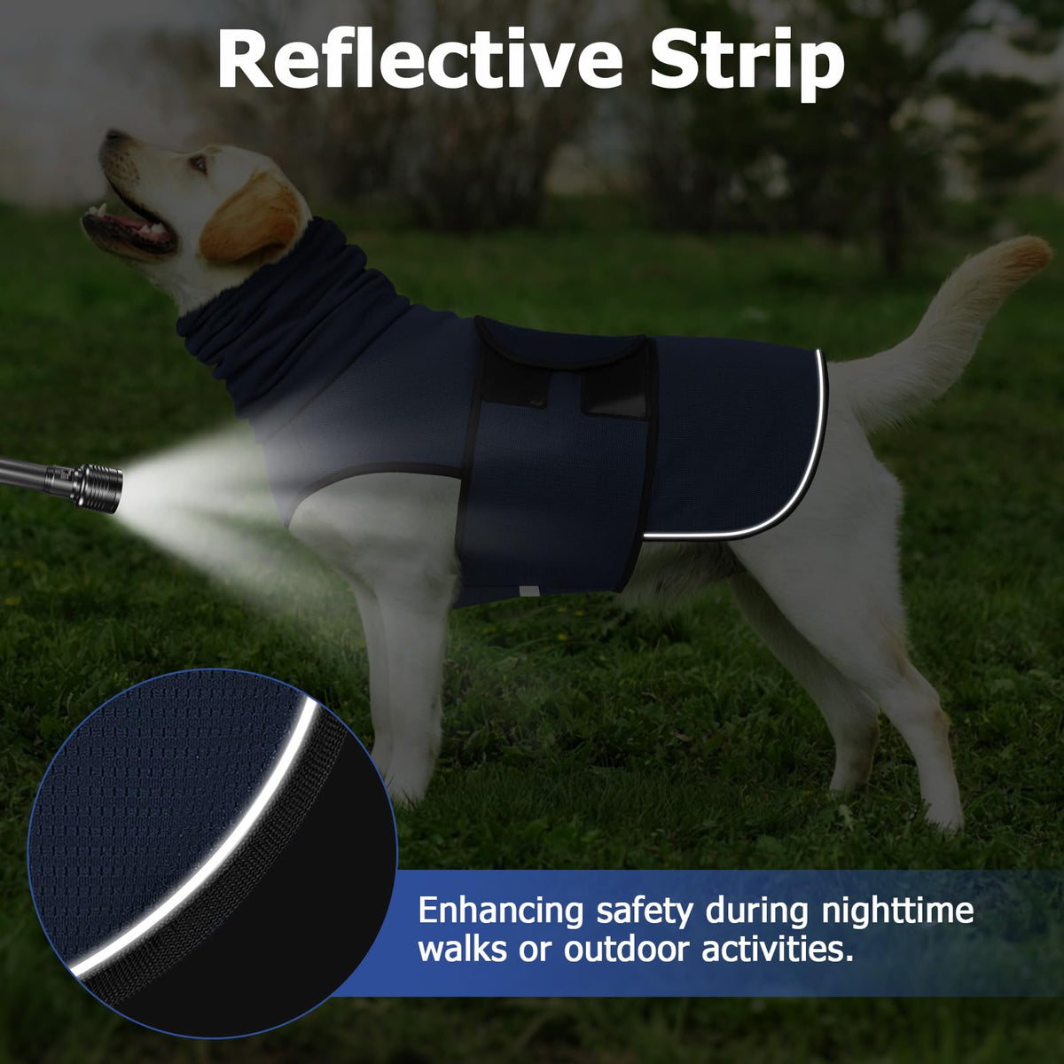 Camiseta Anti-Ansiedad para Perros – vista 3 | Pawformance