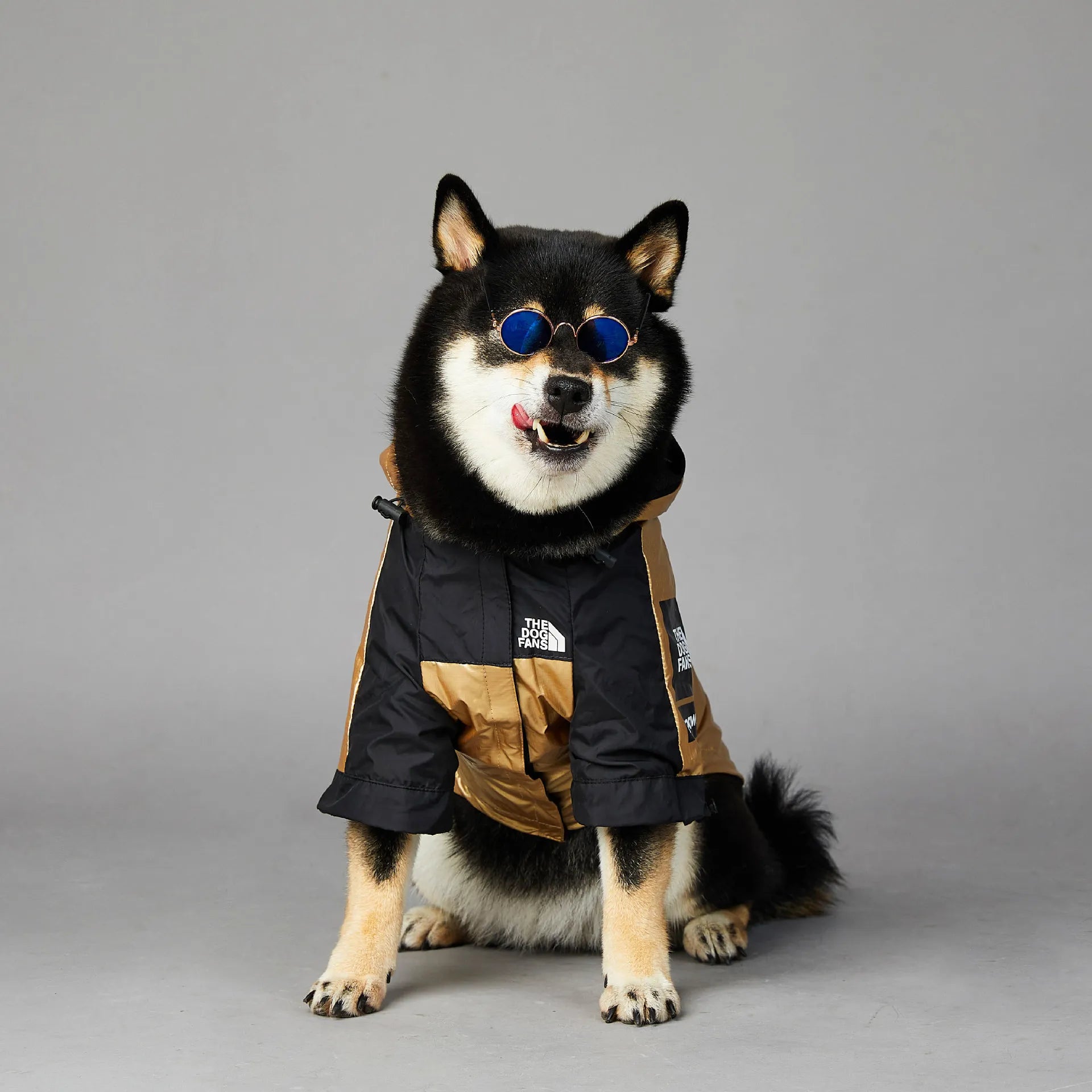 Chubasquero para Perros - Chaqueta Impermeable Talla M
