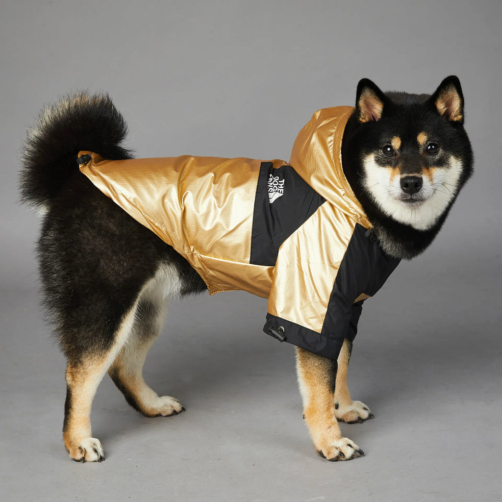 Chubasquero para Perros - Chaqueta Impermeable Talla M