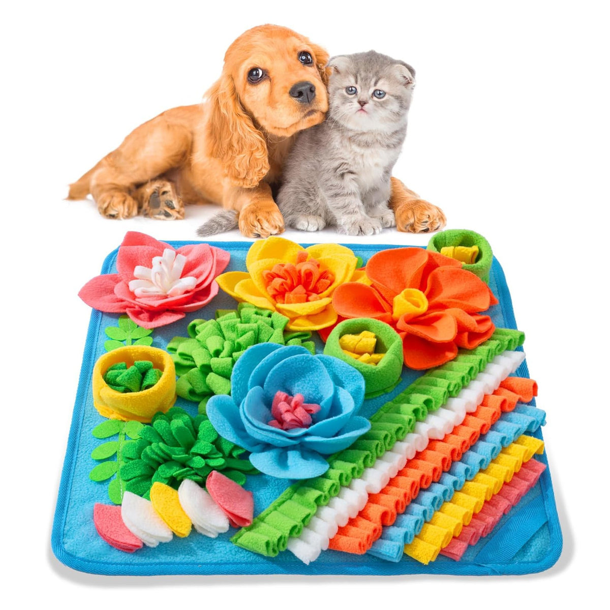 Kit de Rastreo Olfativo para Perros – vista 5 | Pawformance