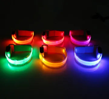Collar LED para Perros - Seguridad y Visibilidad Nocturna