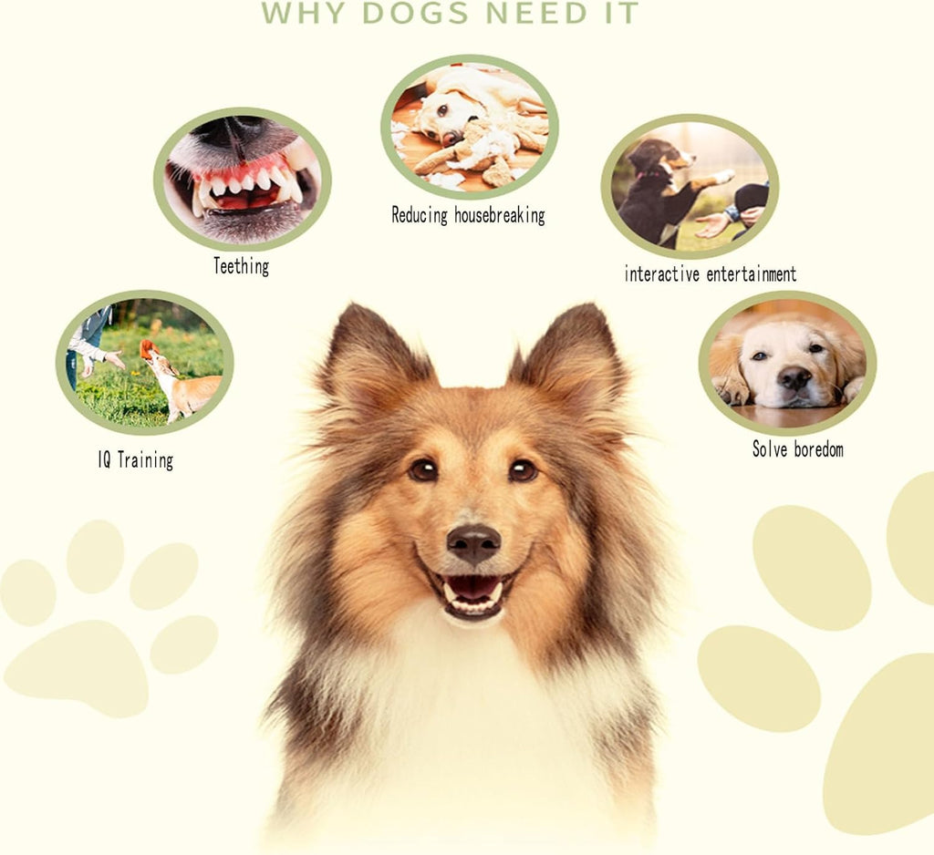 Mordedor Dental Interactivo para Perros – vista 5 | Pawformance