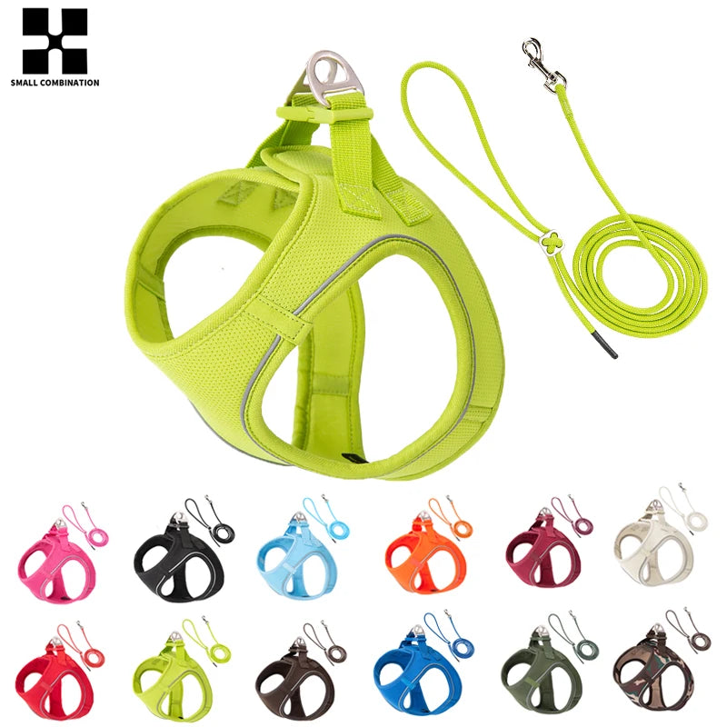 Set Arnés + Correa para Perros | Reflectante y Ajustable
