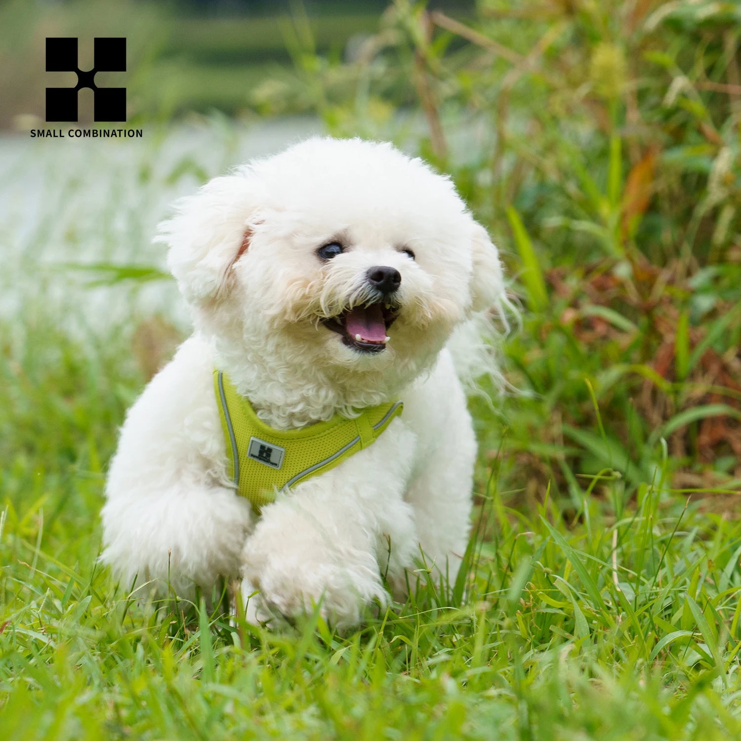Set Arnés + Correa para Perros | Reflectante y Ajustable