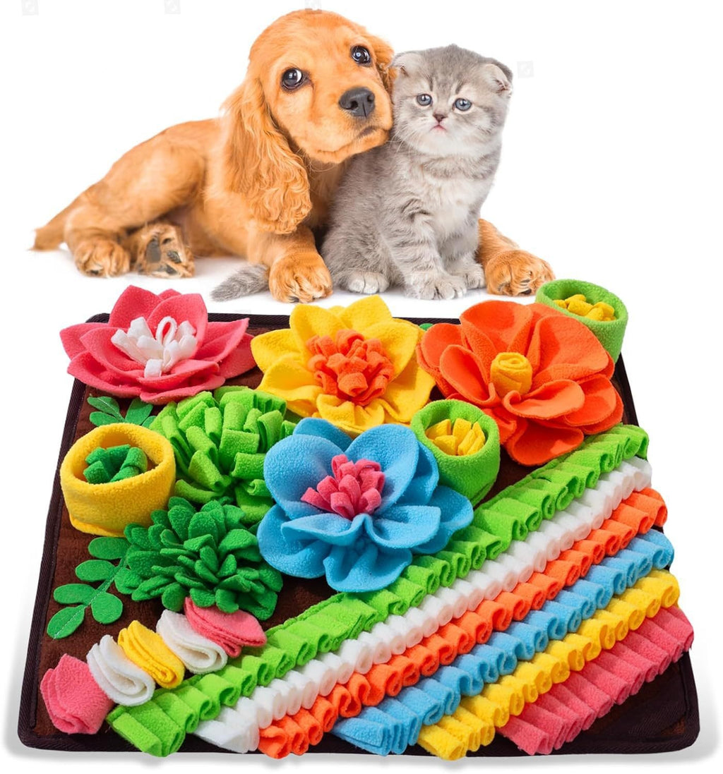 Kit de Rastreo Olfativo para Perros – vista 7 | Pawformance
