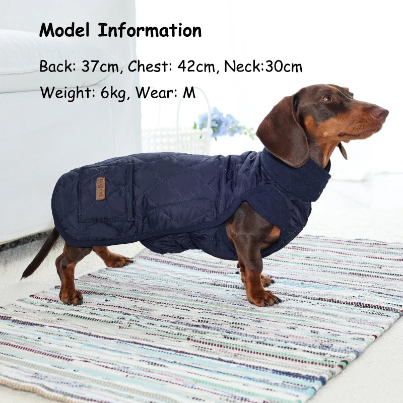 Chaqueta Otoño-Invierno para Perros Salchicha | Impermeable y Cálida