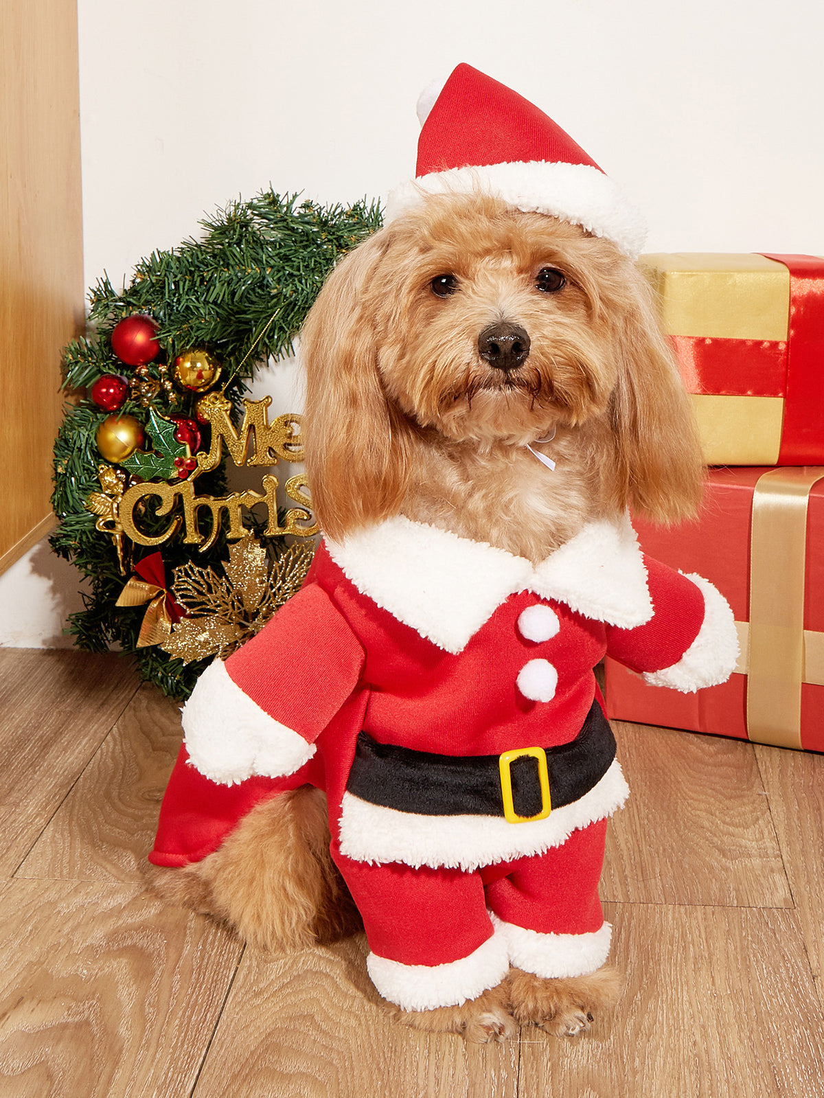Disfraz de Papá Noel para Perros | Pawformance