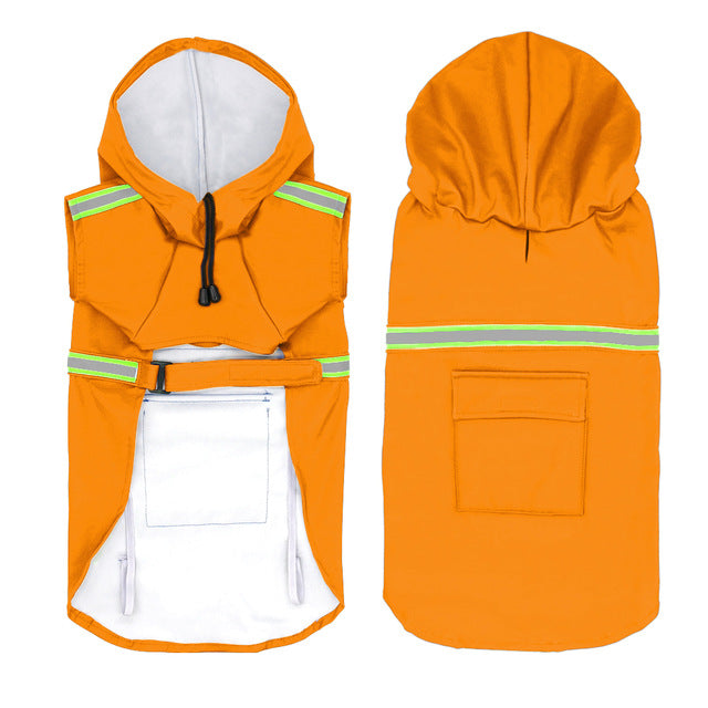 Kit Paseo Lluvia y Noche | Chubasquero + Collar LED + Dispensador con Luz