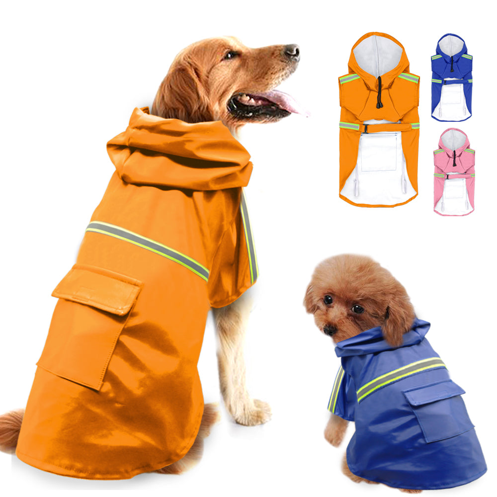 Kit Paseo Lluvia y Noche | Chubasquero + Collar LED + Dispensador con Luz