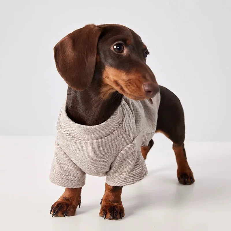 Suéter para Perros Salchicha | Jersey Calentito XS-XL
