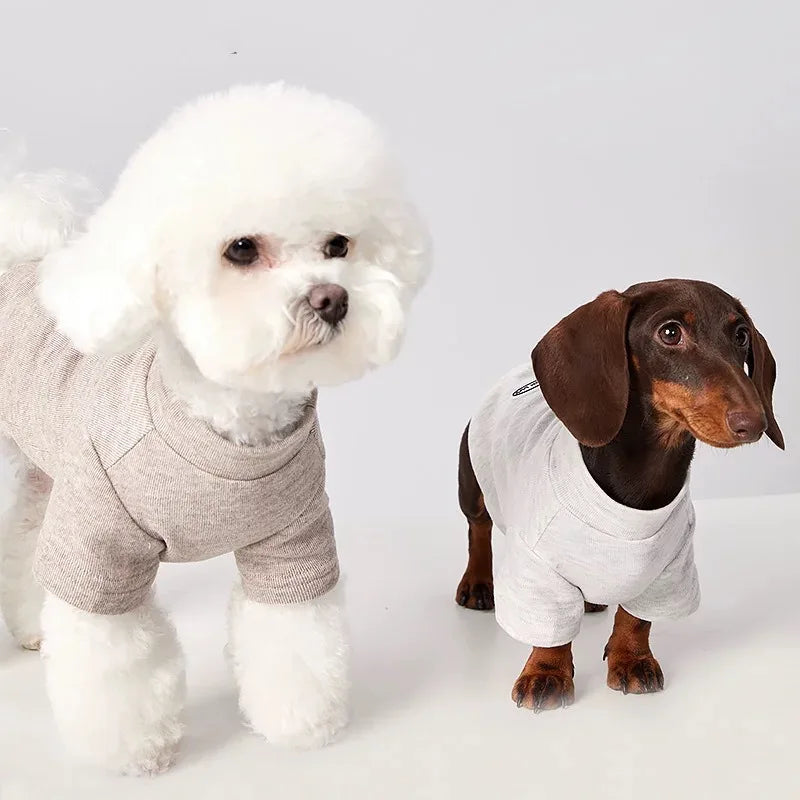 Suéter para Perros Salchicha | Jersey Calentito XS-XL